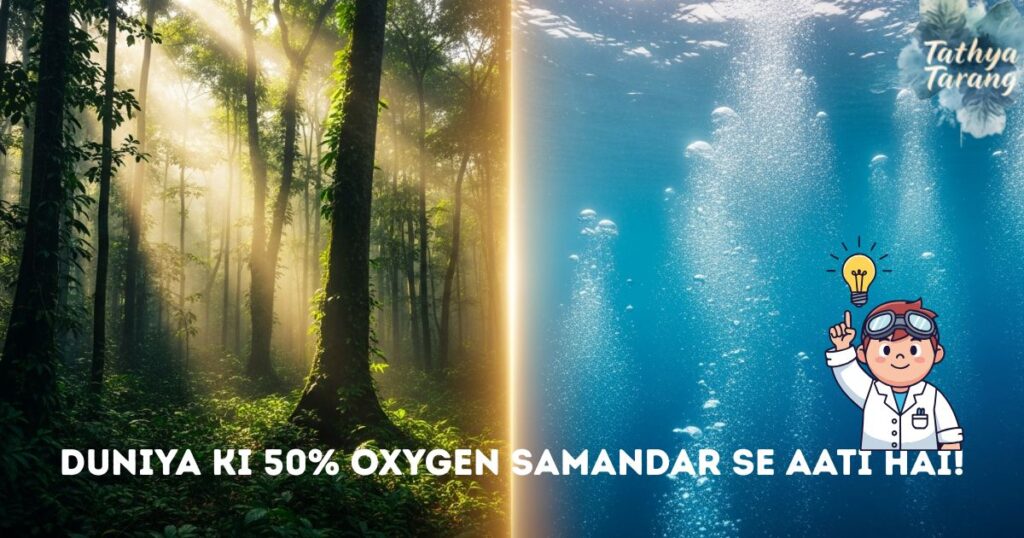 Oxygen Samandar