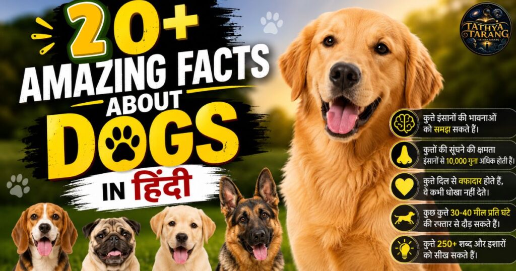 Amazing Facts About Dogs in Hindi